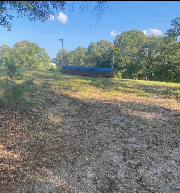 Grassy field with a solid wooden cross-country jump painted blue, numbered flag marker, trees in background under blue sky