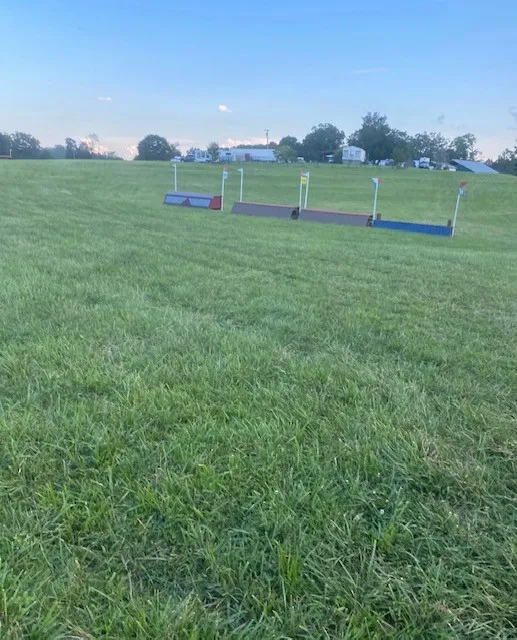 Empty grassy field with a row of low cross-country jump fences in the distance, flags marking the obstacles, under a blue sky
